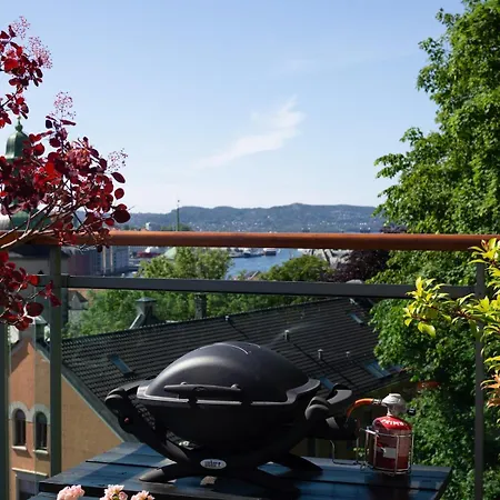 Luxury Penthouse In The Heart Of The Apartament Bergen